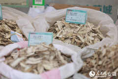 陈塘关总兵李靖给申公豹的那份药材代购